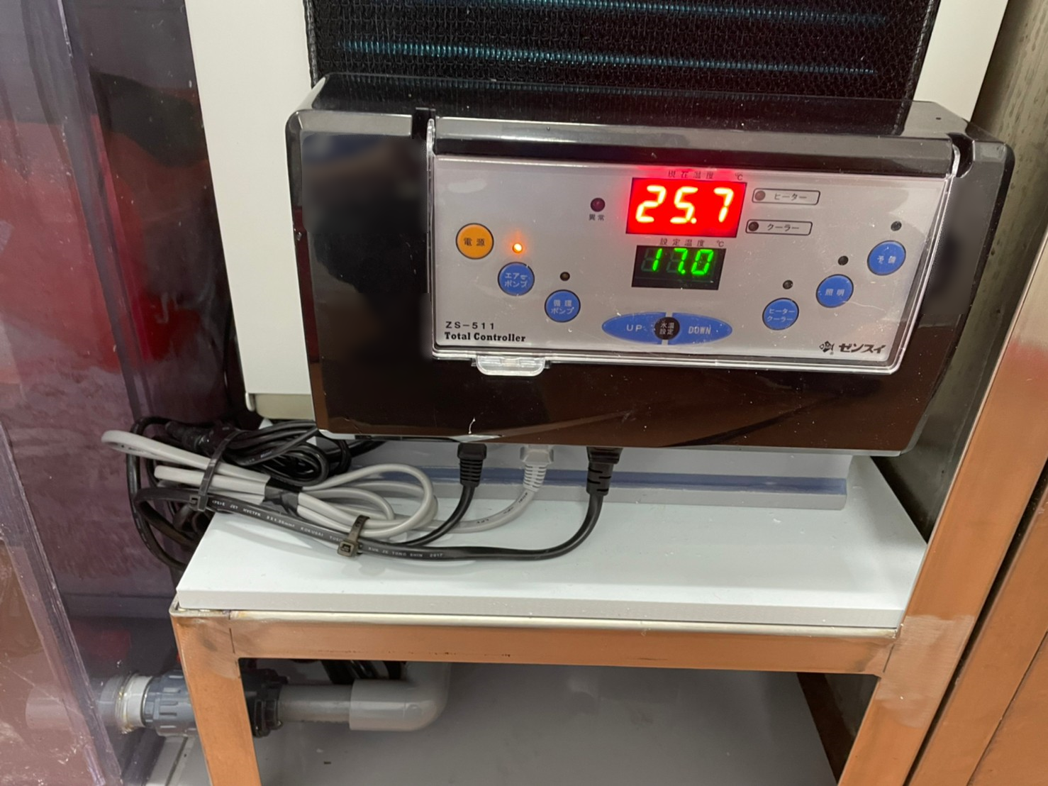 魚@スピード発送 特注潮900ZD 新規導入 活魚水槽 | 水槽設置・メンテナンス施工ブログ